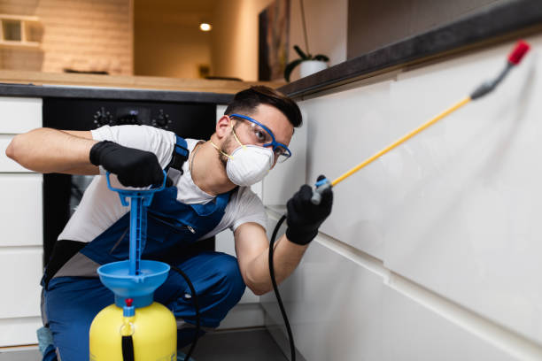 Best Termite Control Services  in Sunny Isles Beach, FL