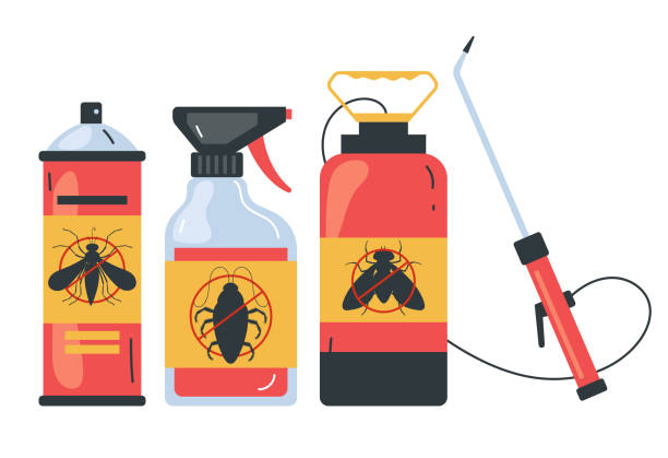 Flea Control Services in Sunny Isles Beach, FL