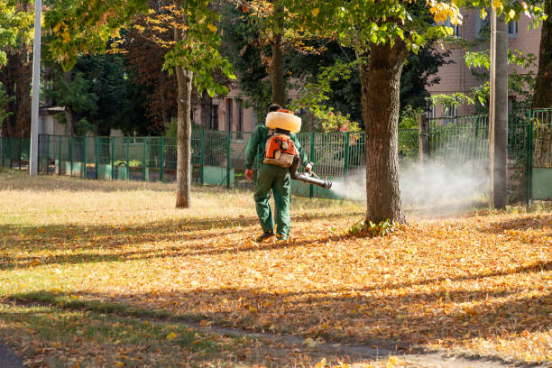 Insect Control in Sunny Isles Beach, FL
